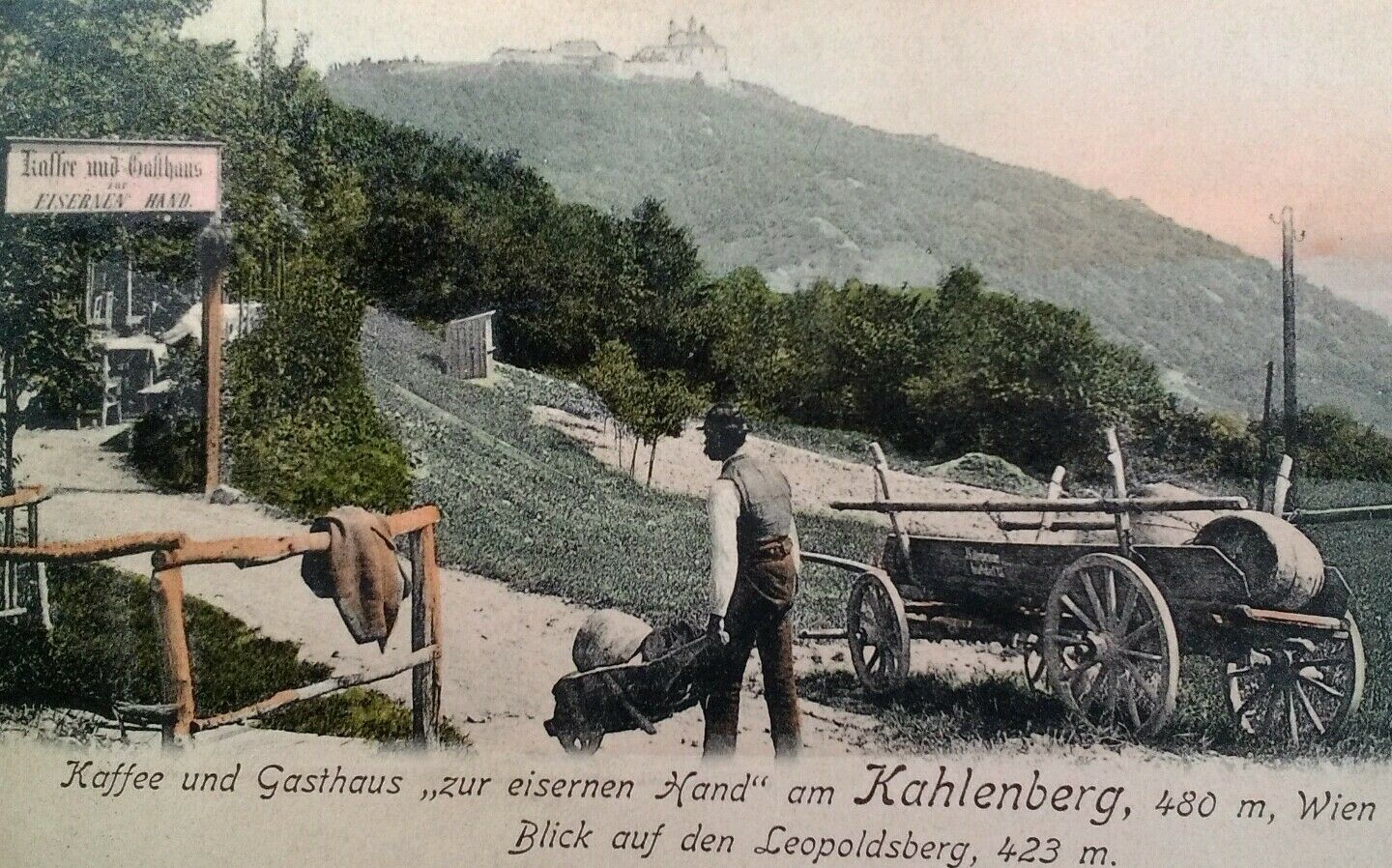 Kahlenburg Vienna Austria Postcard Early 1900s Rare Hotel Cafe Inn Iron Hand